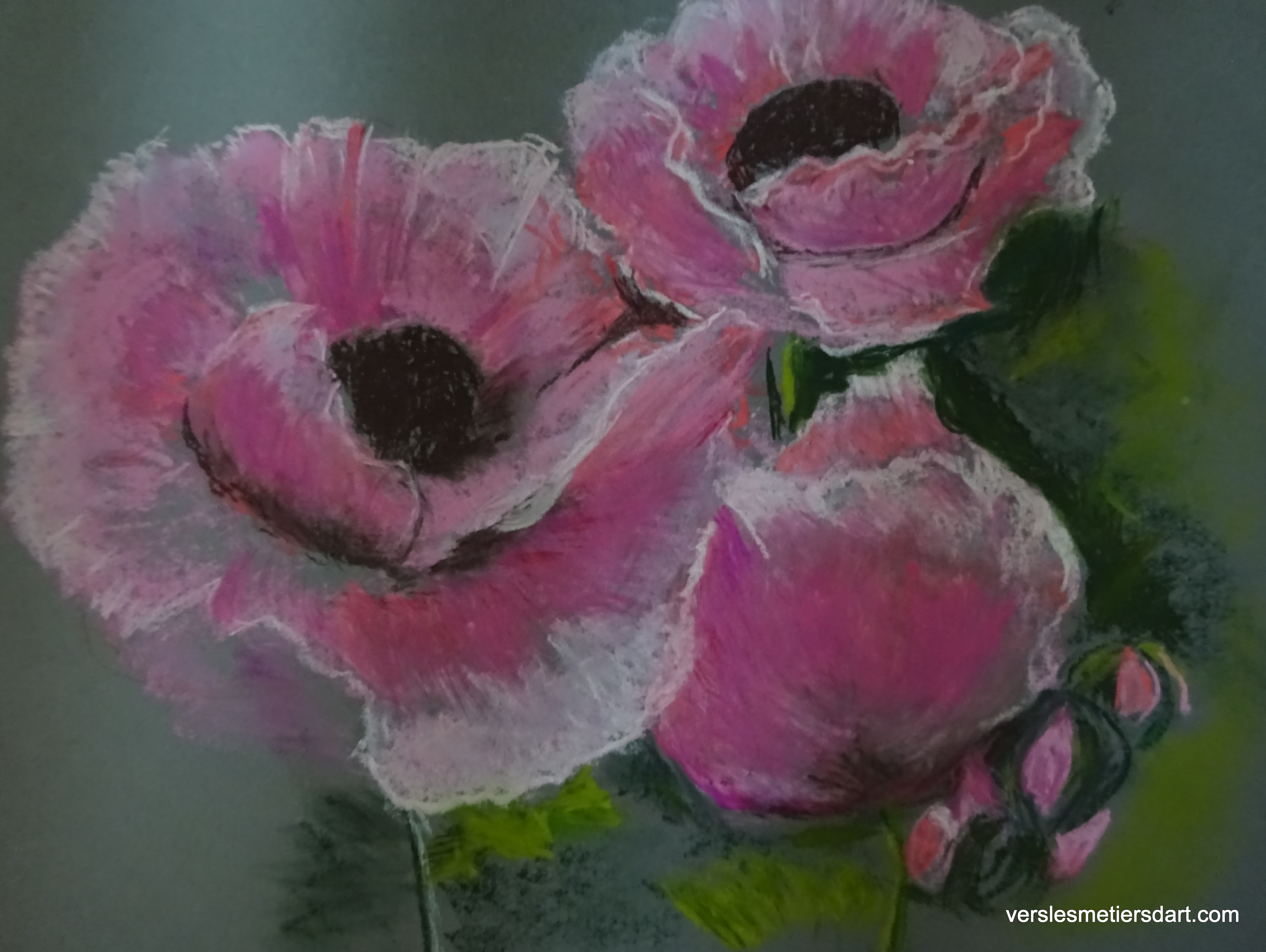 Coquelicots (pastels secs)